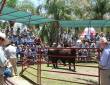   &raquo; Click to zoom ->