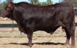 Lot 228 @ Big S  &raquo; Click to zoom ->