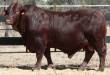 Lot 231 @ Big S  &raquo; Click to zoom ->
