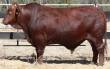 Lot 232 @ Big S  &raquo; Click to zoom ->